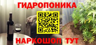 прущие грибы Гусиноозёрск