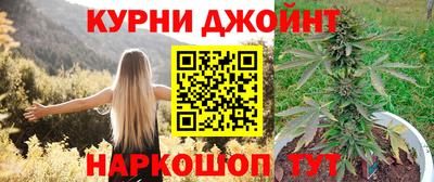 прущие грибы Гусиноозёрск