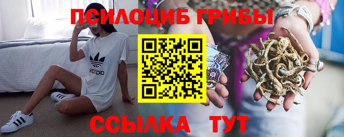 магазин  наркотиков  Галлюциногенные грибы Psilocybe  Псилоцибиновые грибы Cubensis  Вход с VPN  Кировск 