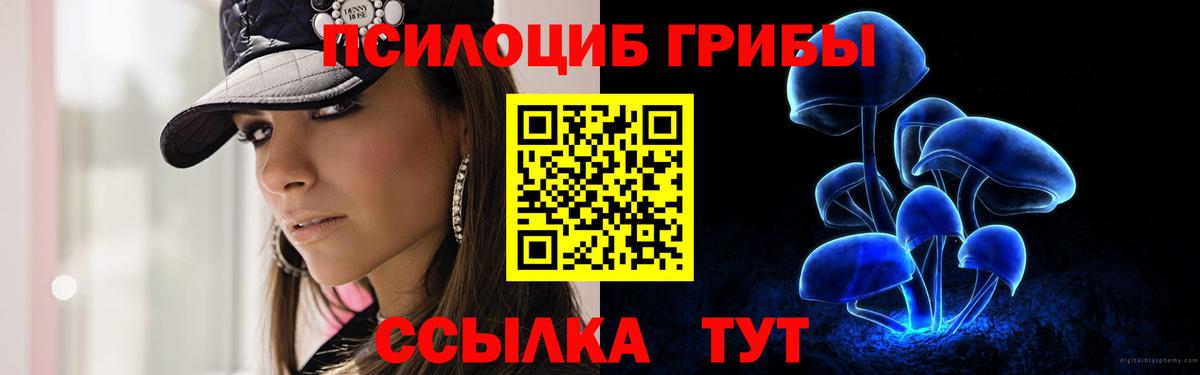 Псилоцибиновые грибы прущие грибы Кировск